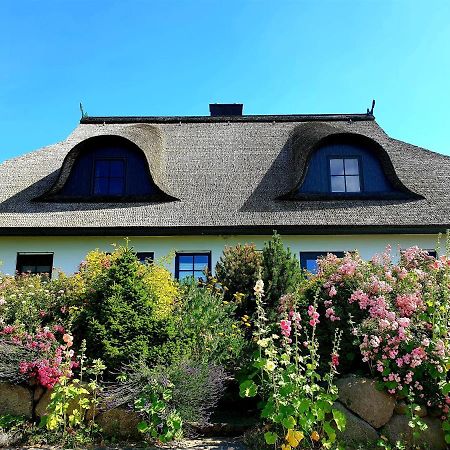 Insel Landhaus Bernstein Villa Gager Exterior foto