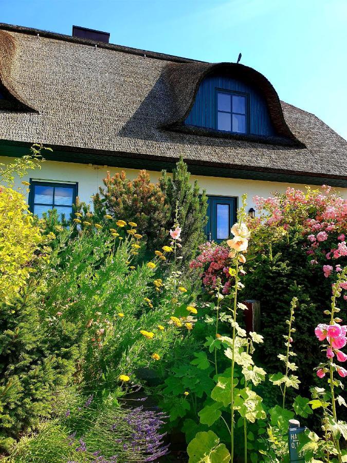 Insel Landhaus Bernstein Villa Gager Exterior foto